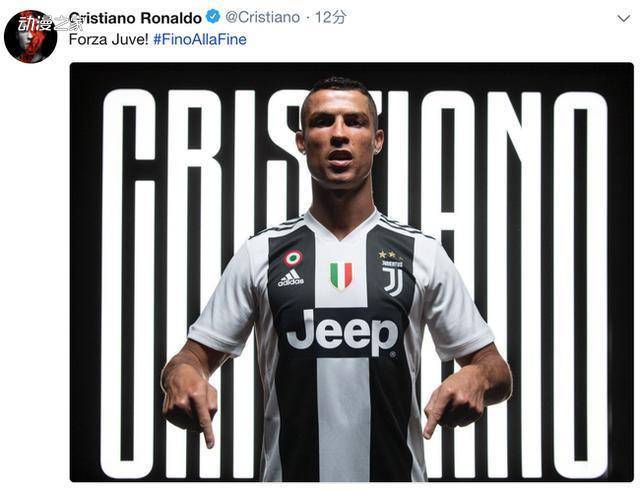 调节策略 调节策略